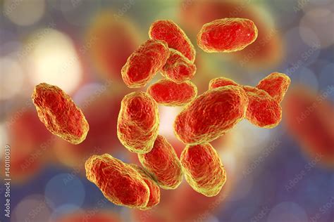 Haemophilus influenzae Infection .